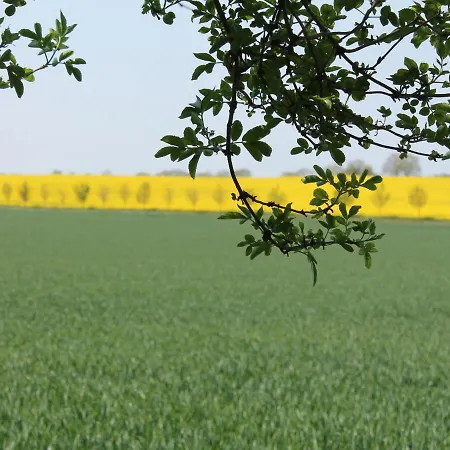 Gemuetliches In Mit Aussenkamin Zierow