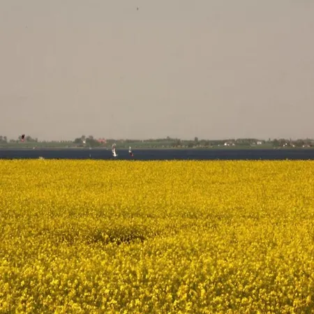 Gemuetliches In Mit Aussenkamin